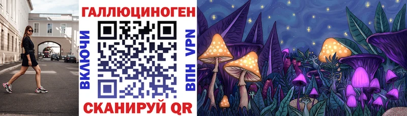 Псилоцибиновые грибы Psilocybine cubensis  Донецк 